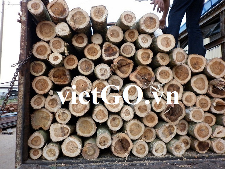 Cơ hội xuất khẩu gỗ keo tròn sang Trung Quốc