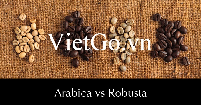 Nhà nhập khẩu Đài Loan cần mua hạt cà phê Robusta và Arabica