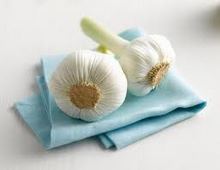 Cơ hội xuất khẩu tỏi đến thị trường Nam Phi