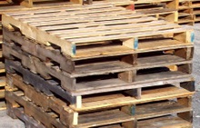 Công ty Ấn Độ cần nhập khẩu gỗ Pallet