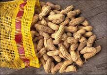 Cơ hội xuất khẩu lạc sang Trung Quốc.