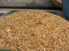 Cơ hội xuất khẩu mùn cưa sang thị trường Hàn Quốc