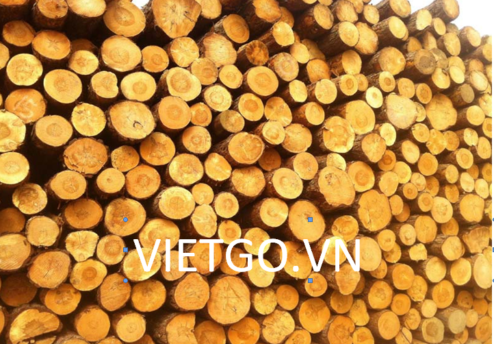 Cơ hội xuất khẩu gỗ thông tròn sang Albania