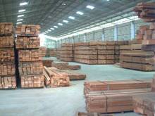 Nhà nhập khẩu Hoa Kỳ cần mua gỗ dầu
