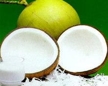 Đơn hàng xuất khẩu dừa sang Yemen.