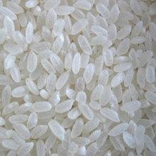 Công ty ở Philippines cần mua gạo