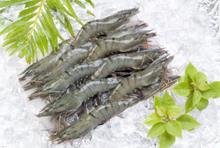 Cơ hội xuất  khẩu tôm sang Hàn Quốc 