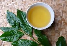 Cơ hội xuất khẩu trà xanh sang Trung Quốc