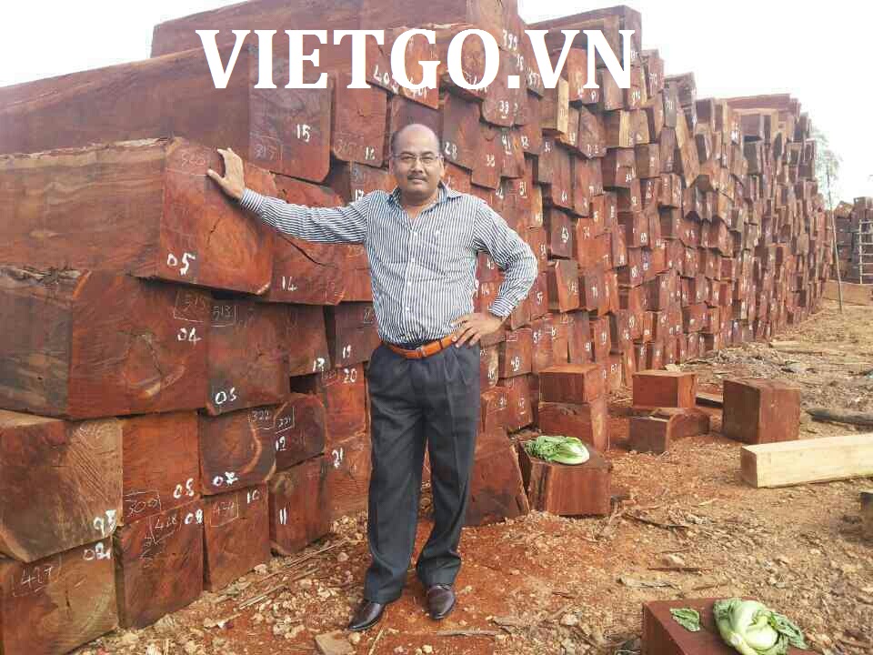 Cơ hội xuất khẩu 5000m3 gỗ căm xe vuông sang Ấn Độ.