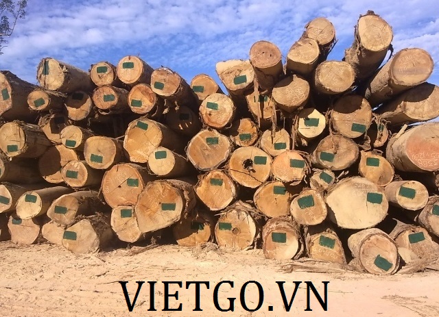 Công ty Ấn Độ cần mua gỗ dầu tròn