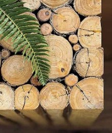 Cơ hội xuất khẩu gỗ thông tròn sang Malaysia