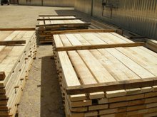 Công ty ở Ân độ cần mua gỗ thông xẻ
