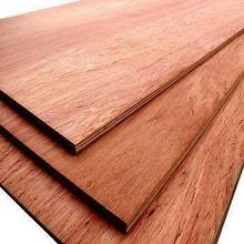 Công ty ở Đài Loan cần mua gỗ  veneer.
