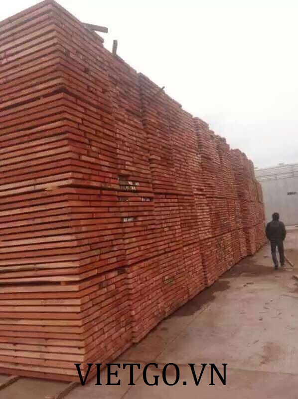 Nhà nhập khẩu Trung Quốc cần mua 1 container gỗ teak tròn hoặc xẻ