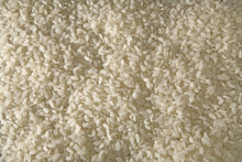 Công ty ở Trung Quốc cần nhập khẩu gạo