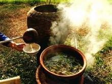 Cơ hội xuất khẩu chè xanh sang thị trường Ấn Độ