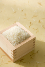 Đơn hàng xuất khẩu gạo sang Hà Lan