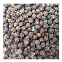 Nhà nhập khẩu Các Tiểu Vương Quốc Ả Rập Thống Nhất cần nhập khẩu hạt tiêu đen