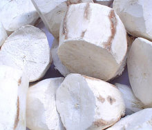 Cơ hội xuất khẩu sắn lát sang Nam Phi