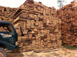 Công ty ở Bangladesh cần nhập khẩu gỗ teak
