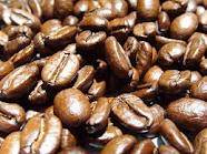Đơn hàng xuất khẩu cafe sang Armenia