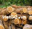 Cơ hội xuất khẩu gỗ keo sang New Zealand