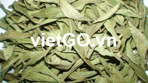 Đối tác Trung Quốc cần mua cỏ ngọt
