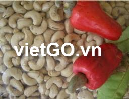 Nhà nhập khẩu Ấn Độ cần mua hạt điều