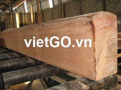 Đơn hàng gỗ bạch đàn của nhà nhập khẩu Malaysia