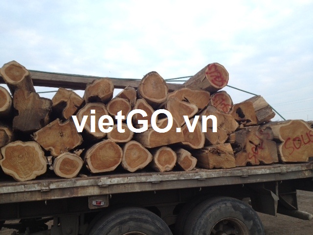 Đơn hàng gỗ Teak tròn sang Ấn Độ