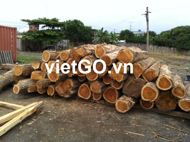 Cơ hội xuất khẩu gỗ teak tròn sang Ấn Độ