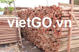 Khách hàng Hy Lạp cần mua gỗ bạch đàn tròn