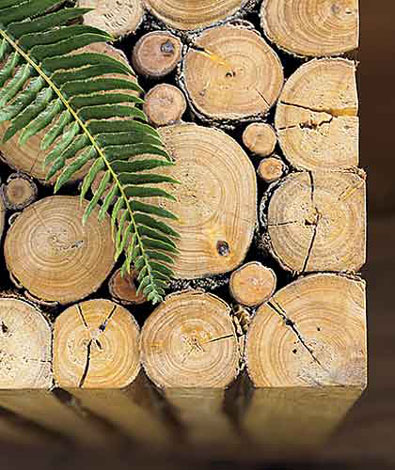 Đơn hàng xuất khẩu gỗ thông xẻ sang Indonesia