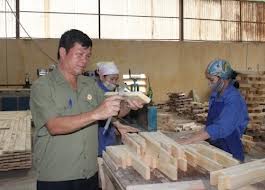 Nhà nhập khẩu Hàn quốc cần mua gỗ Teak