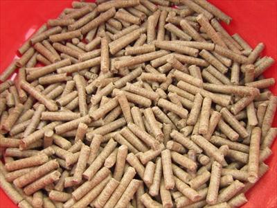 Cơ hội xuất khẩu gỗ viên sang Trung Quốc