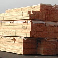 Nhà nhập khẩu Lybia cần mua gỗ xẻ