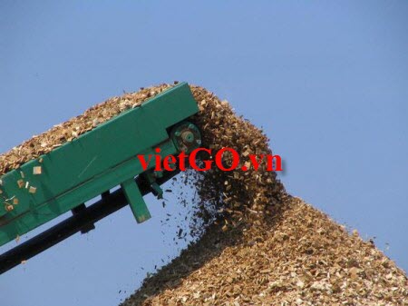 Nhà nhập khẩu Mỹ cần mua gỗ thông vụn
