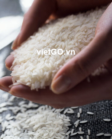 Nhà nhập khẩu Mỹ cần mua gạo