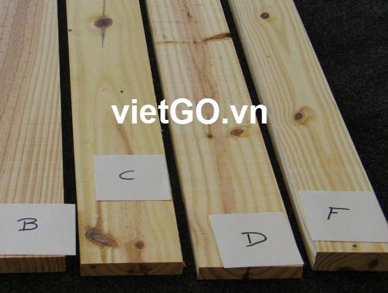Nhà nhập khẩu Pakistan cần mua gỗ thông