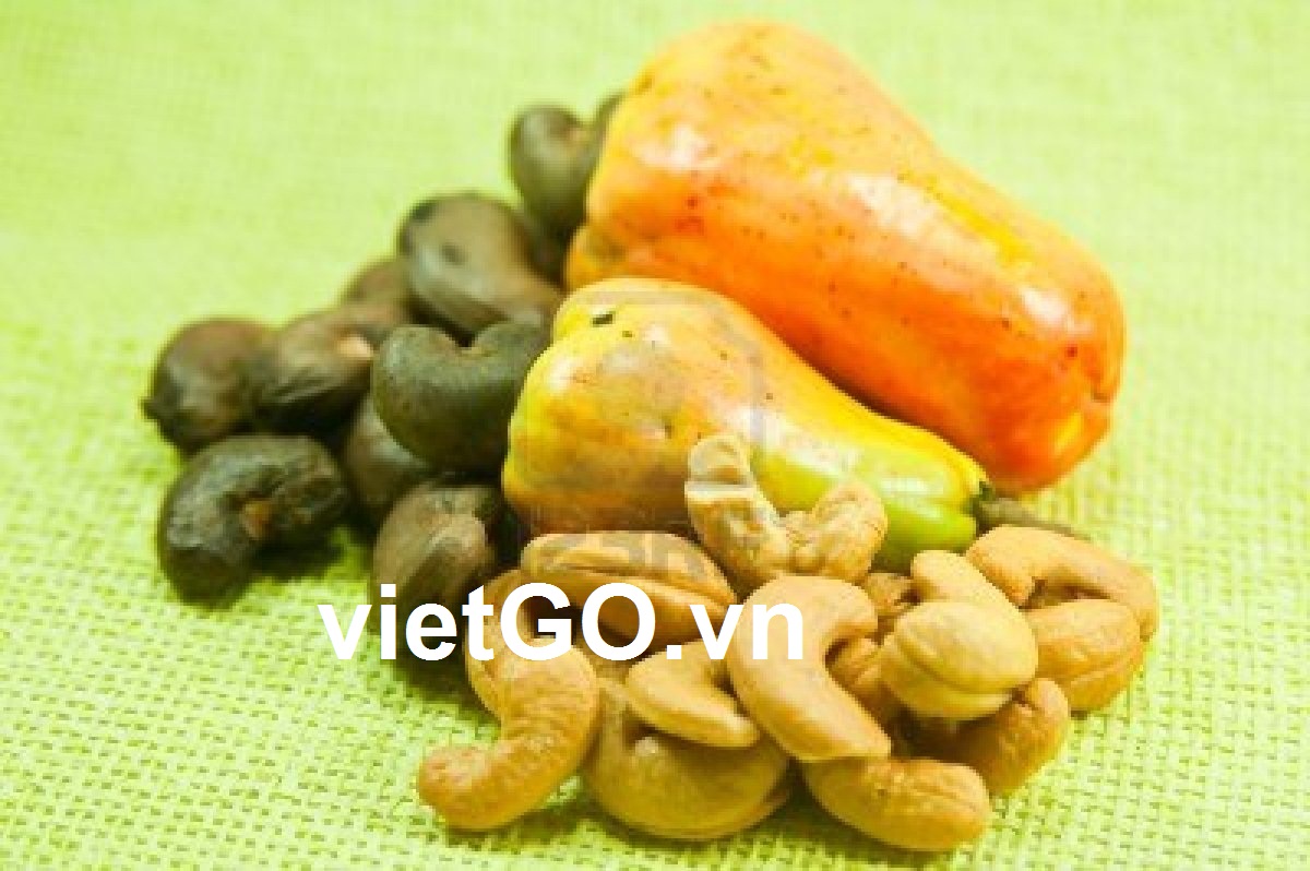 Cơ hội xuất khẩu hạt điều đến Ả rập