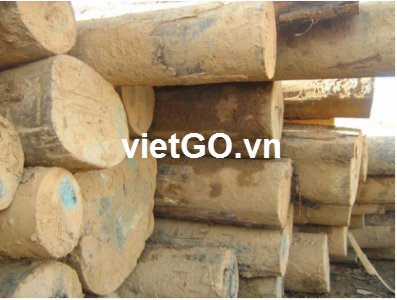 Đơn hàng gỗ bạch đàn sang Nam Phi