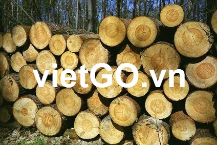 Nhà nhập khẩu Na Uy cần mua gỗ teak