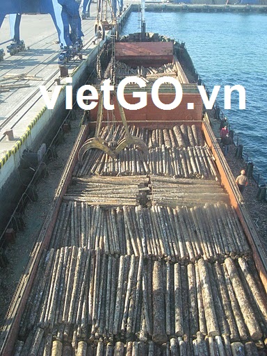 Nhà nhập khẩu Ấn Độ cần mua gỗ keo