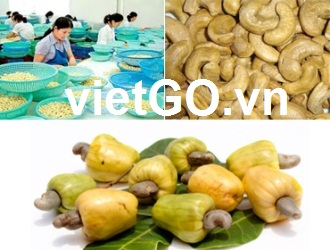 Nhà nhập khẩu Ấn Độ cần mua hạt điều 