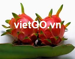 Nhà nhập khẩu Hồng Kông cần mua thanh long