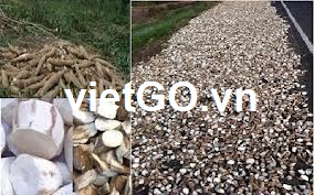 Cơ hội xuất khẩu sắn lát sang Hàn Quốc