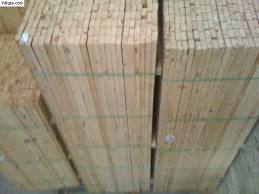 Nhà nhập khẩu Ấn Độ cần mua gỗ thông.