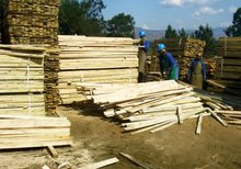 Đơn hàng xuất khẩu gỗ Teak sang Lào