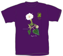 Cơ hội xuất khẩu áo T- shirt sang Malaysia