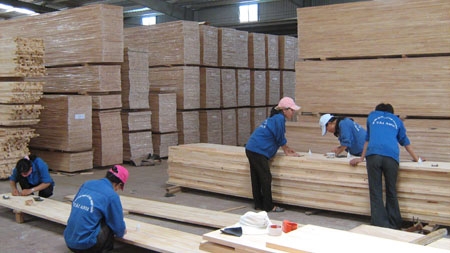 Cơ hội xuất khẩu gỗ thông xẻ sang Hong Kong